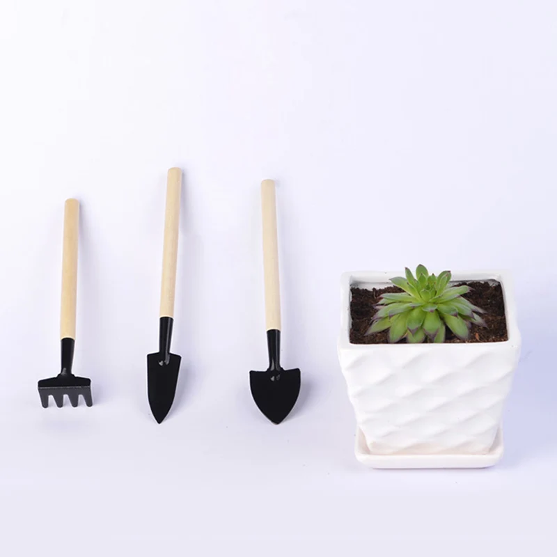3 Pcs Mini Shovel Rake Garden Plant Tool / 1 Pair Garden Genie Gloves Set Tools Kit HUG-Deals
3 Pcs Mini Shovel Rake Garden Plant Tool / 1 Pair Garden Genie Gloves Set Tools Kit HUG-Deals