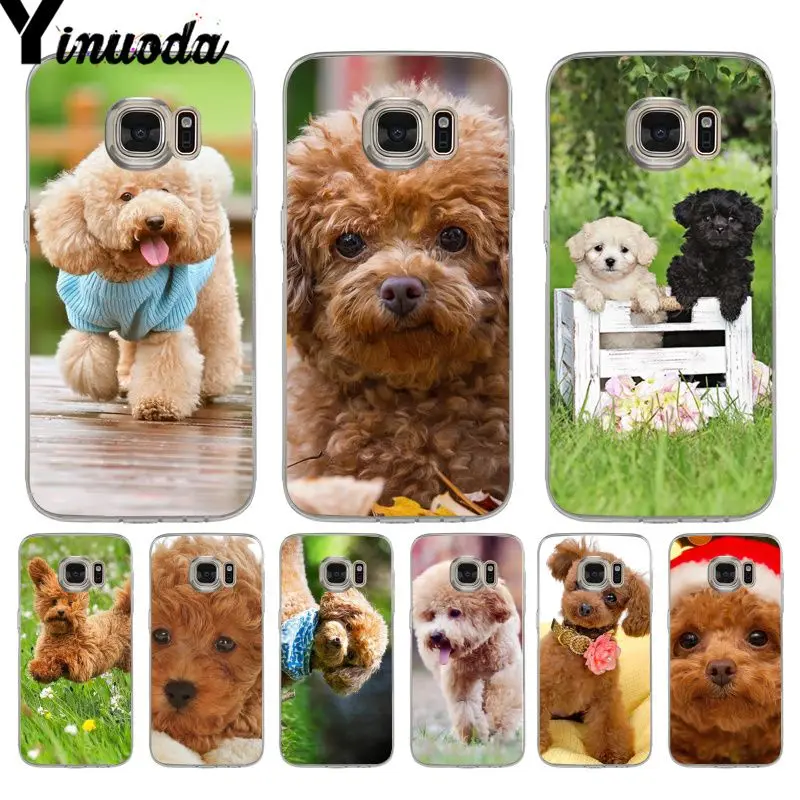 Чехол для телефона Yinuoda cut_щенок Игрушка Пудель Собака уникальный дизайн samsung galaxy