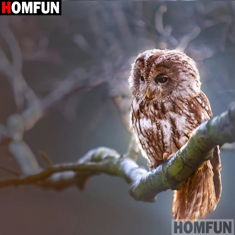 HOMFUN Full Square/Round Drill 5D DIY Diamond Painting "owl" Embroidery Cross Stitch 5D Home Decor A16188
HOMFUN Full Square/Round Drill 5D DIY Diamond Painting "owl" Embroidery Cross Stitch 5D Home Decor A16188