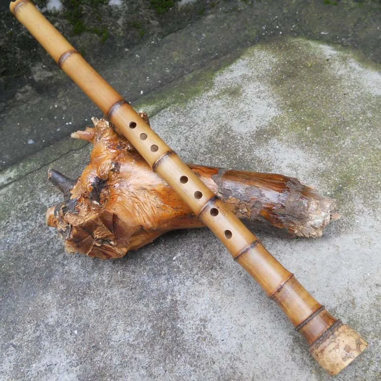 

Китайская бамбуковая флейта Nan Xiao, японский ключ шакухачи G/F, вертикальный деревянный Профессиональный музыкальный инструмент с 8 отверстия...