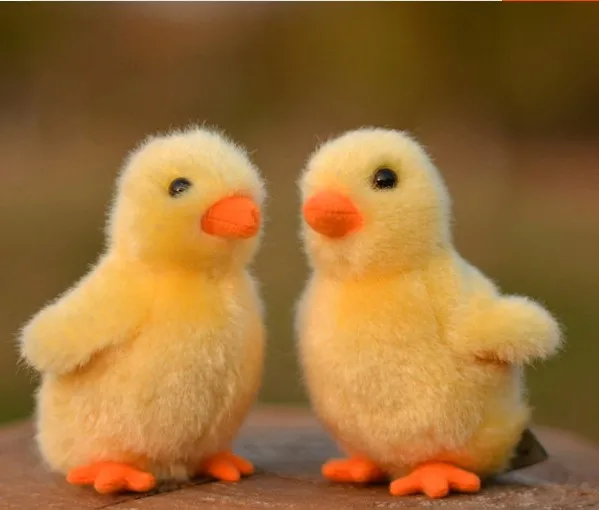 2019 newest 12cm mini chicken stuffed plush toy animal dolls toys for children birthday chrismas gift
2019 newest 12cm mini chicken stuffed plush toy animal dolls toys for children birthday chrismas gift