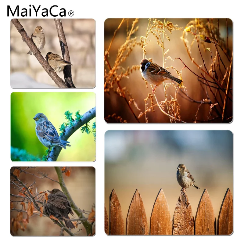 MaiYaCa Sparrow Wallpapers Silicone Pad to Mouse Game Size for 180*220*2mm Gaming Mousepads
MaiYaCa Sparrow Wallpapers Silicone Pad to Mouse Game Size for 180*220*2mm Gaming Mousepads