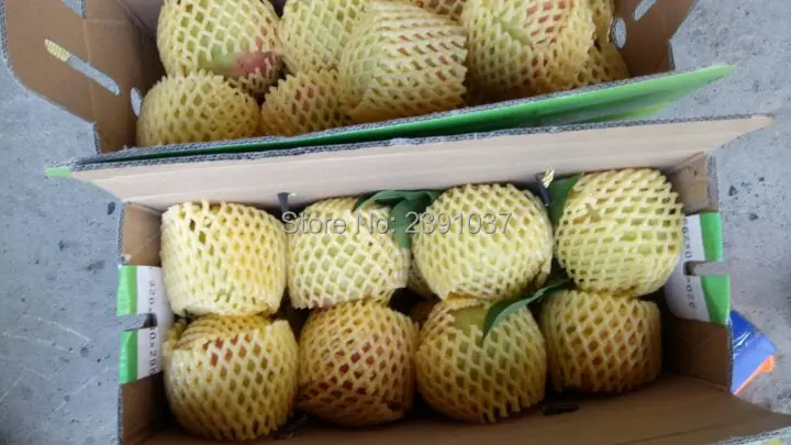 12cm*7cm 1000pcs Fruit foam for Apples and pears white EPE Foam mesh sleeve net Thick fruit foam sleeve net packing material
12cm*7cm 1000pcs Fruit foam for Apples and pears white EPE Foam mesh sleeve net Thick fruit foam sleeve net packing material