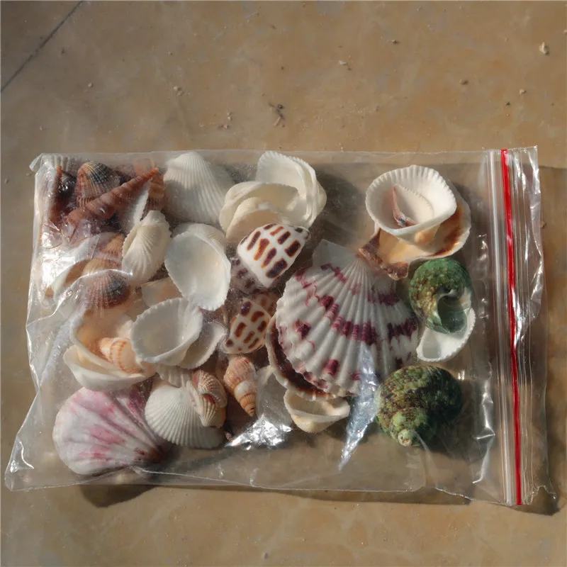 Natural conch shells color mini Funny Mixed fish tank Landscaping Aquarium Pet Home decoration 10-15pcs/pack
Natural conch shells color mini Funny Mixed fish tank Landscaping Aquarium Pet Home decoration 10-15pcs/pack