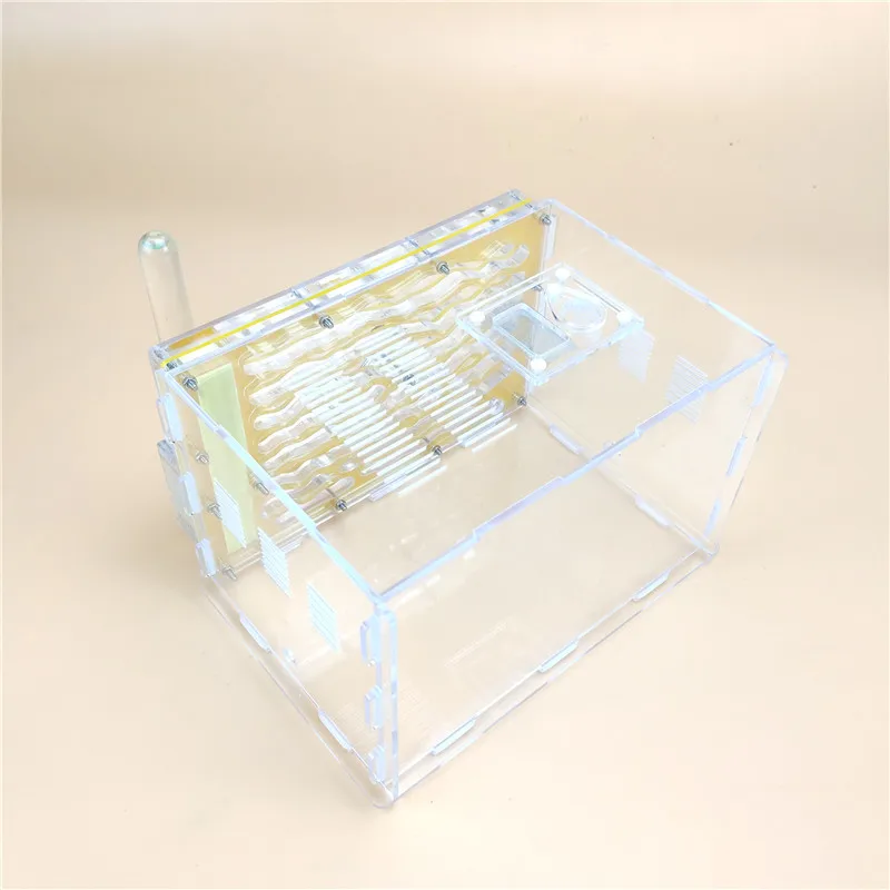 Test Tube Moisture big space Ant Nest ,Ant Farm Acrylic, Insect ants Villa House Ants Ecological Workshop
Test Tube Moisture big space Ant Nest ,Ant Farm Acrylic, Insect ants Villa House Ants Ecological Workshop