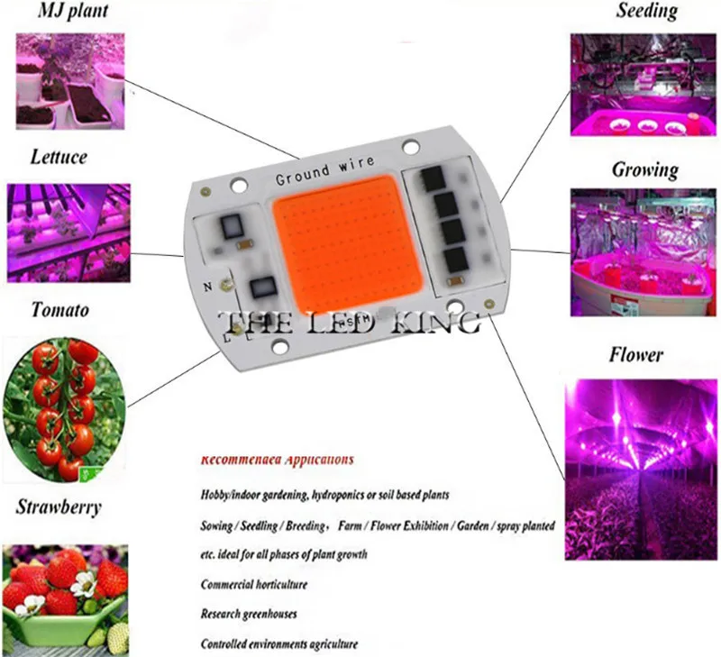 Full Spectrum LED Phyto Lamp 20W 30W 50W 80W 110V 220V High Power COB Chip Diode Grow Light Phytolamp For Plants Hydroponics | Лампы и