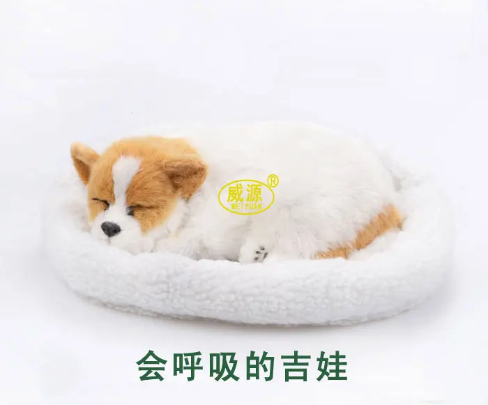 Chihuahua CHIH Chellohuahua pampered pet mate breathing dog cute toy sleeping pet emulational mini vivid toy Decoration Crafts
Chihuahua CHIH Chellohuahua pampered pet mate breathing dog cute toy sleeping pet emulational mini vivid toy Decoration Crafts