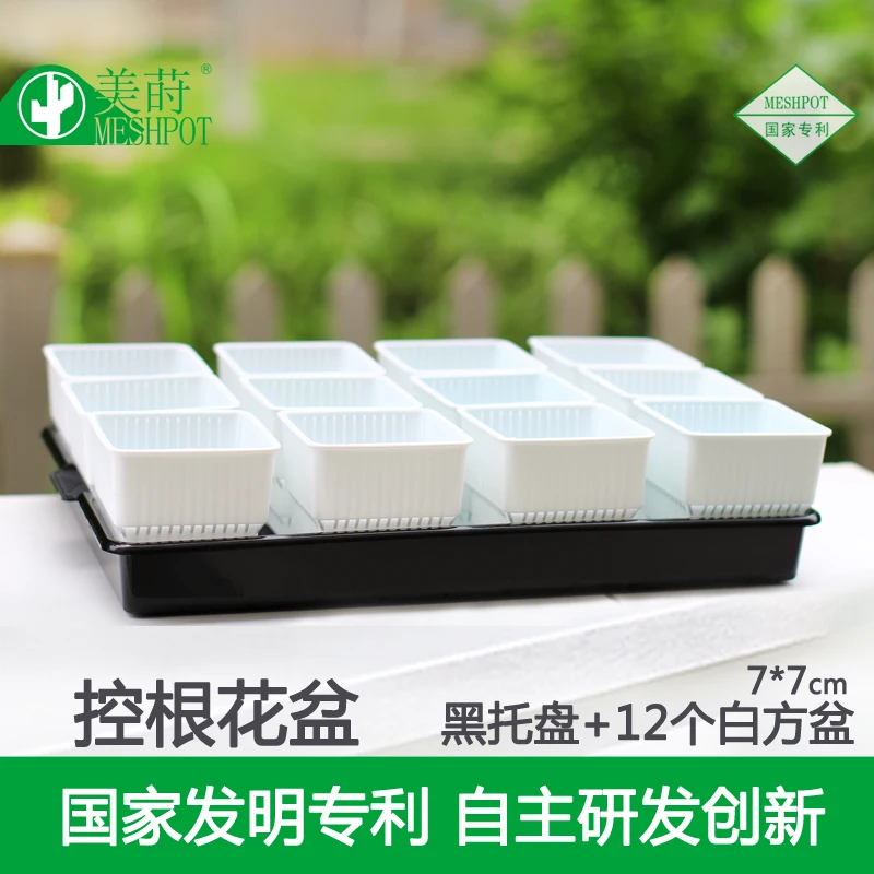 Succulents pots tray gardening breathing 12 / set