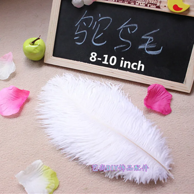 Wholesale 100pcs 8-10" White Fancy Ostrich Feather Plume for Making Feather Accessories or Decoration
Wholesale 100pcs 8-10" White Fancy Ostrich Feather Plume for Making Feather Accessories or Decoration