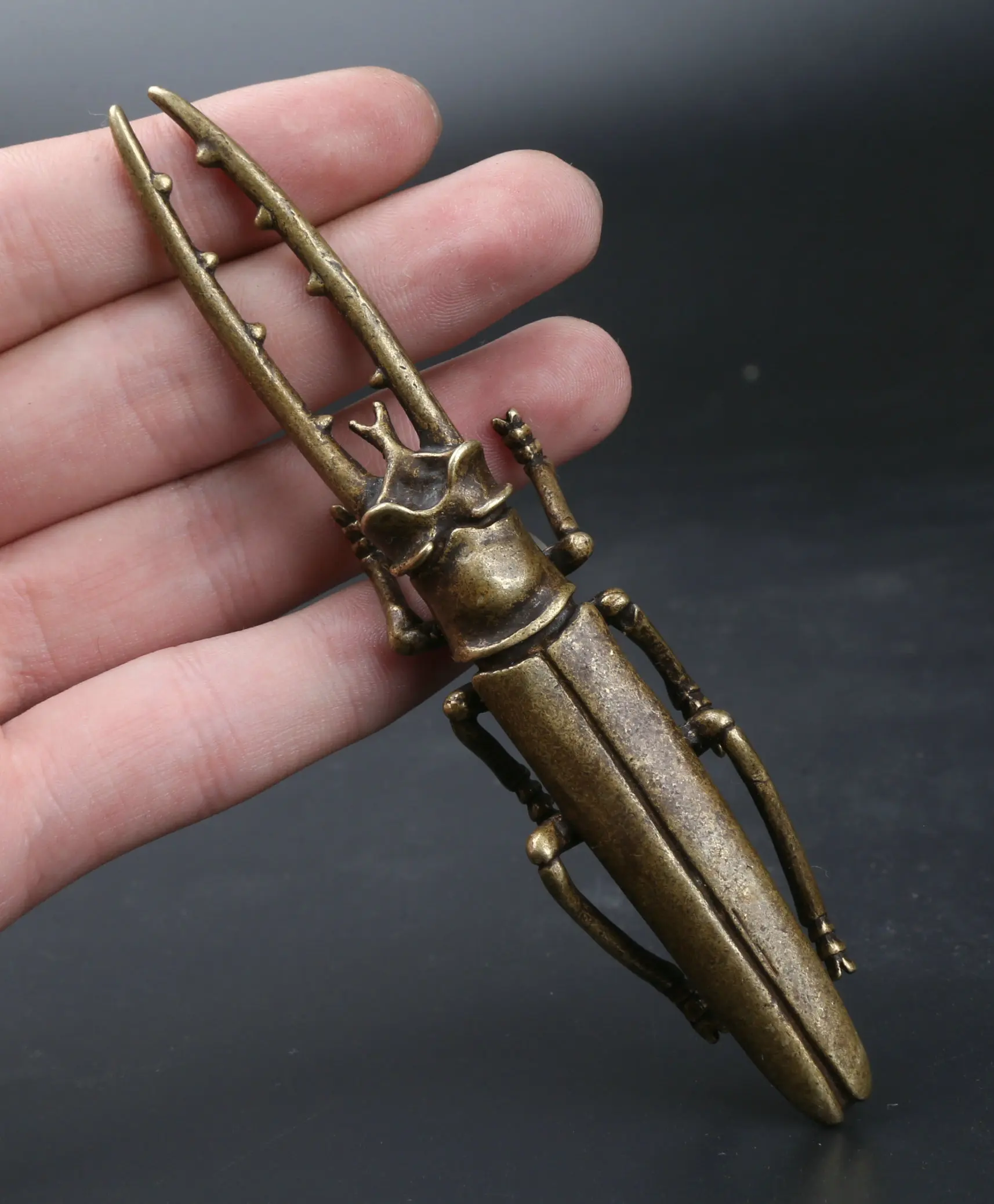 125MM/4.9" Collect Curio Rare Chinese Fengshui Small Bronze Exquisite Animal Beetle Long-horned Beetle Longicorn Statue 77g
125MM/4.9" Collect Curio Rare Chinese Fengshui Small Bronze Exquisite Animal Beetle Long-horned Beetle Longicorn Statue 77g