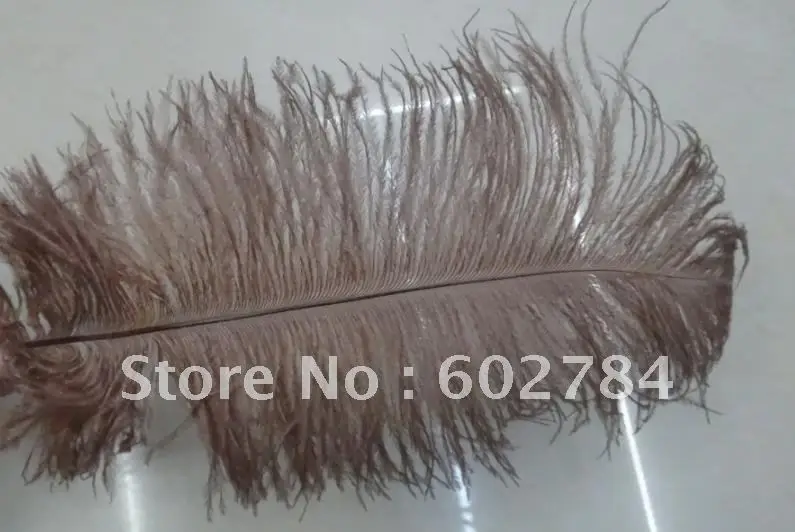 Wholesale 100pcs/lot 10-12 inches 25-30cm brown single ostrich feather ostrich plumes Free Shipping
Wholesale 100pcs/lot 10-12 inches 25-30cm brown single ostrich feather ostrich plumes Free Shipping