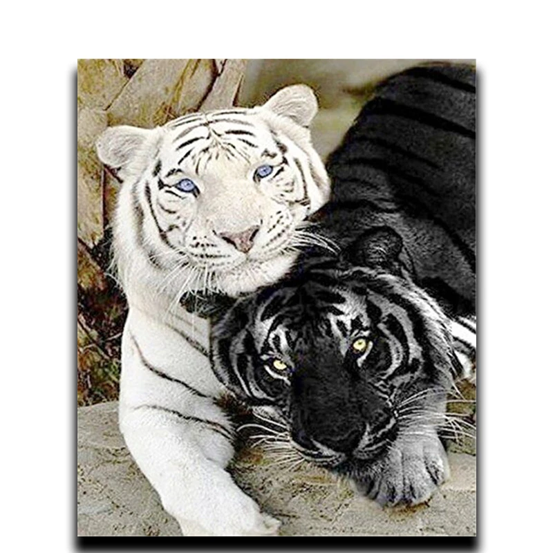 Square Diamond Painting Full Tablecloth \ Round Diamond Embroidery Tiger Image of Cross-stitch Rhinestone Diamond Mosaic
Square Diamond Painting Full Tablecloth \ Round Diamond Embroidery Tiger Image of Cross-stitch Rhinestone Diamond Mosaic