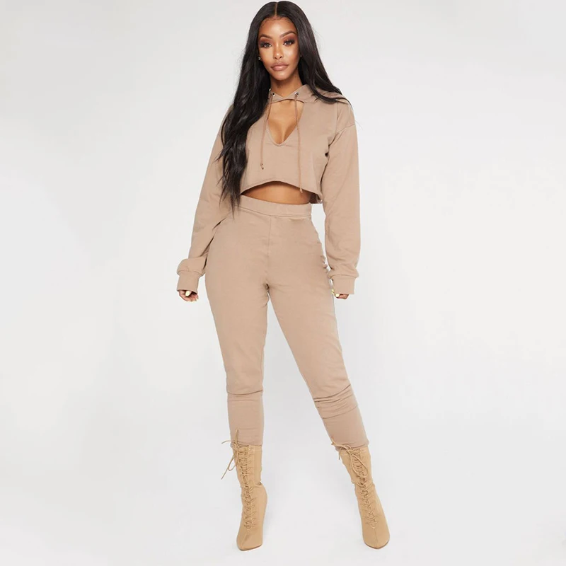 2018 Hot Hoodies Two Piece Set Women'S Suit Pink Outfit Costume Casual Female Winter Clothes Fashion Tracksuit Women | Женская