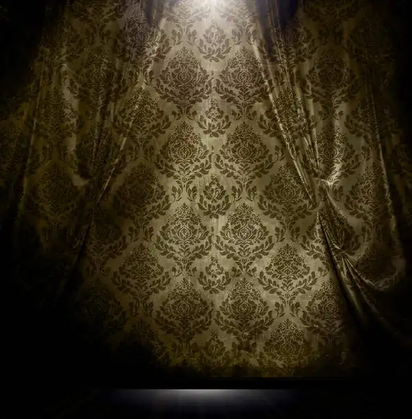 10x10ft Spotlight Baroque Pattern Curtain Drape Seamless Washable Wrinkle Free Photo Background Backdrop Polyester Fabric
10x10ft Spotlight Baroque Pattern Curtain Drape Seamless Washable Wrinkle Free Photo Background Backdrop Polyester Fabric