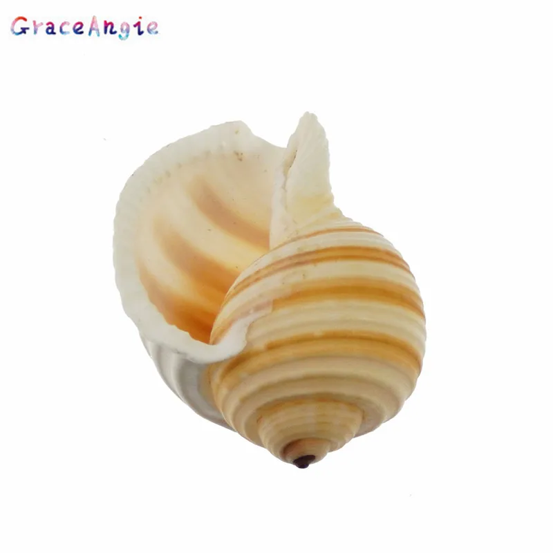 Украшения из натуральной раковины GraceAngie, полосатая форма, для пляжа, вечеринки
Украшения из натуральной раковины GraceAngie, полосатая форма, для пляжа, вечеринки