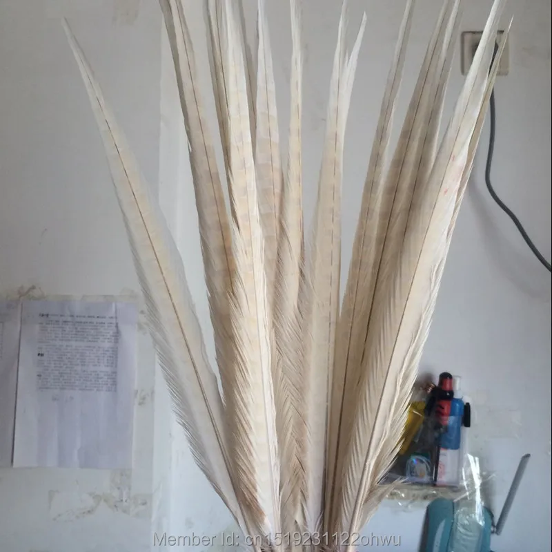 Wholesale 100pcs beautiful Beige pheasant feather 18-20 inch 45-50 cm, DIY decorative !
Wholesale 100pcs beautiful Beige pheasant feather 18-20 inch 45-50 cm, DIY decorative !