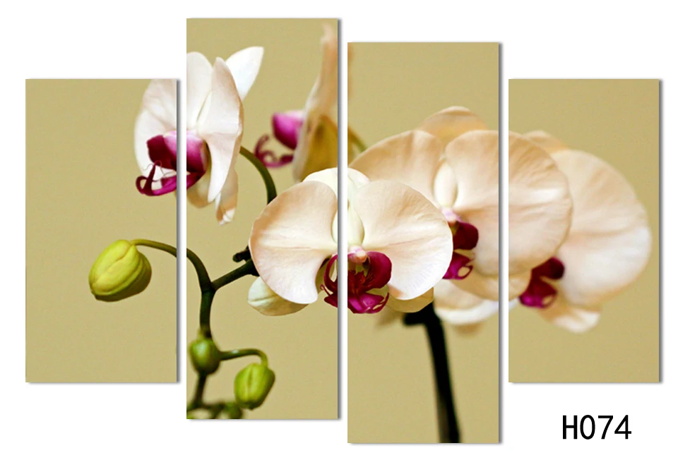 4 Piece Wall Art No Framed Modern Abstract HD Flower Orchid Picture image Oil Painting On Canvas For Home Decor picture
4 Piece Wall Art No Framed Modern Abstract HD Flower Orchid Picture image Oil Painting On Canvas For Home Decor picture