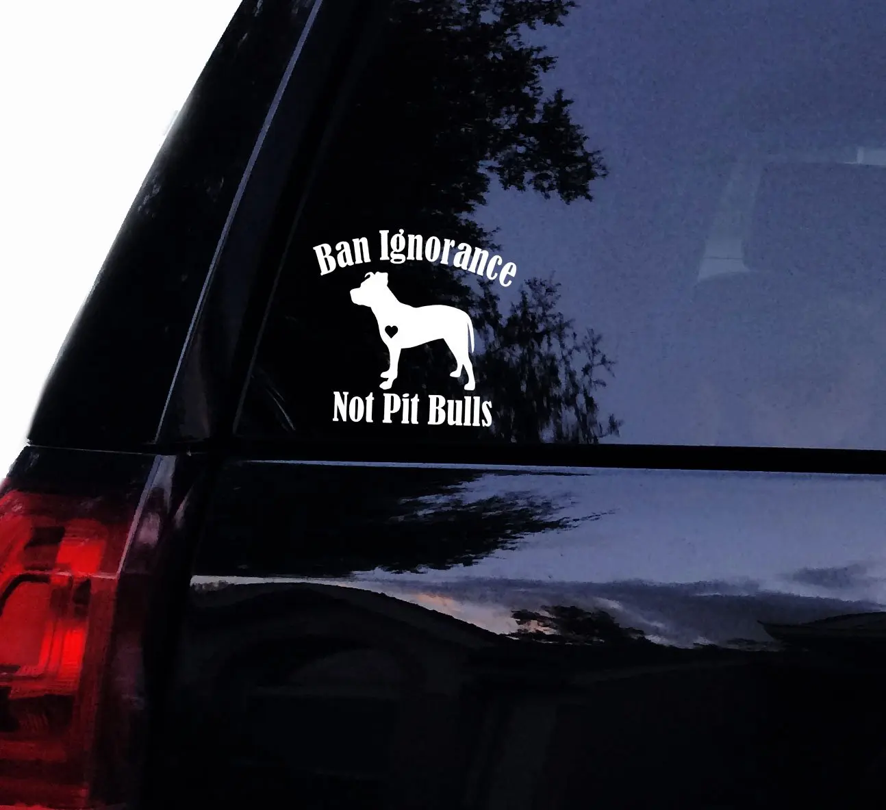 Tshirt Rocket Ban Ignorance Not Pitbulls Pit Dog Vinyl Decal, Laptop Decal, Car Window Wall Sticker (6", White)
Tshirt Rocket Ban Ignorance Not Pitbulls Pit Dog Vinyl Decal, Laptop Decal, Car Window Wall Sticker (6", White)