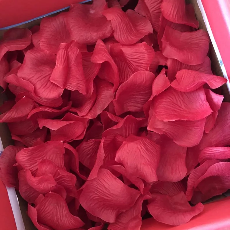 1000Pcs/Lot Silk Rose Petals Artificial Flower Petalos Wedding Bridal Shower Aisle Vase Decor DIY Scrapbooking Craft Fake Flower
1000Pcs/Lot Silk Rose Petals Artificial Flower Petalos Wedding Bridal Shower Aisle Vase Decor DIY Scrapbooking Craft Fake Flower