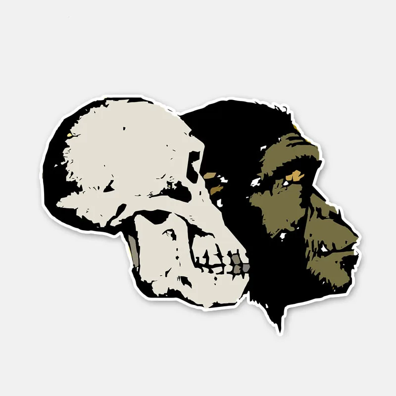 YJZT 9.8CM*13.2CM Personality Chimpanzee Skull Head Decal Funny Motorcycle Car Sticker 6-3067
YJZT 9.8CM*13.2CM Personality Chimpanzee Skull Head Decal Funny Motorcycle Car Sticker 6-3067
