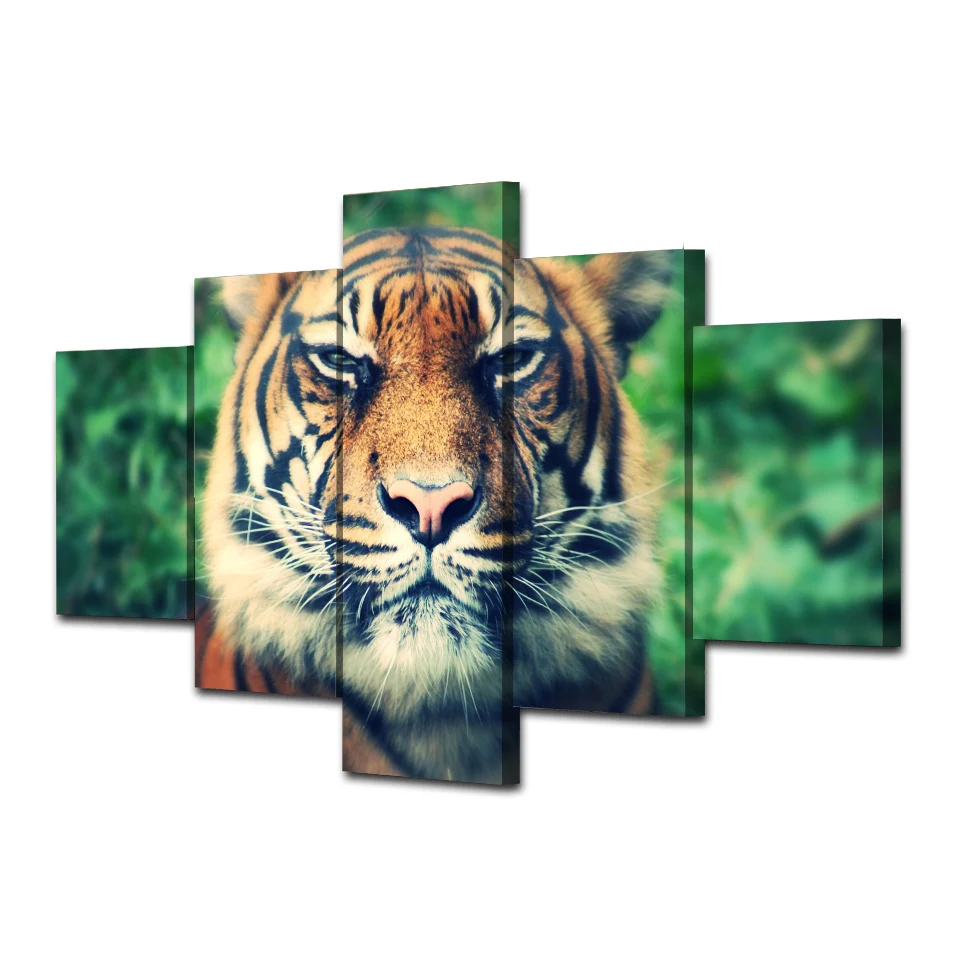 Настенная живопись на холсте 5 шт. тигренок хищник мордочки глаза приседание