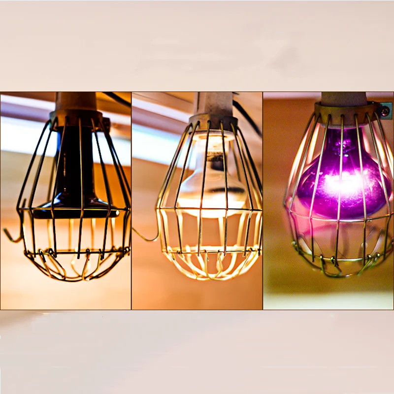 Hollow Lamp Shades Light Guard Cage Lampshade Pendant Light Bulb Guard Lamp Protective Net Industrial Lamp Covers
Hollow Lamp Shades Light Guard Cage Lampshade Pendant Light Bulb Guard Lamp Protective Net Industrial Lamp Covers