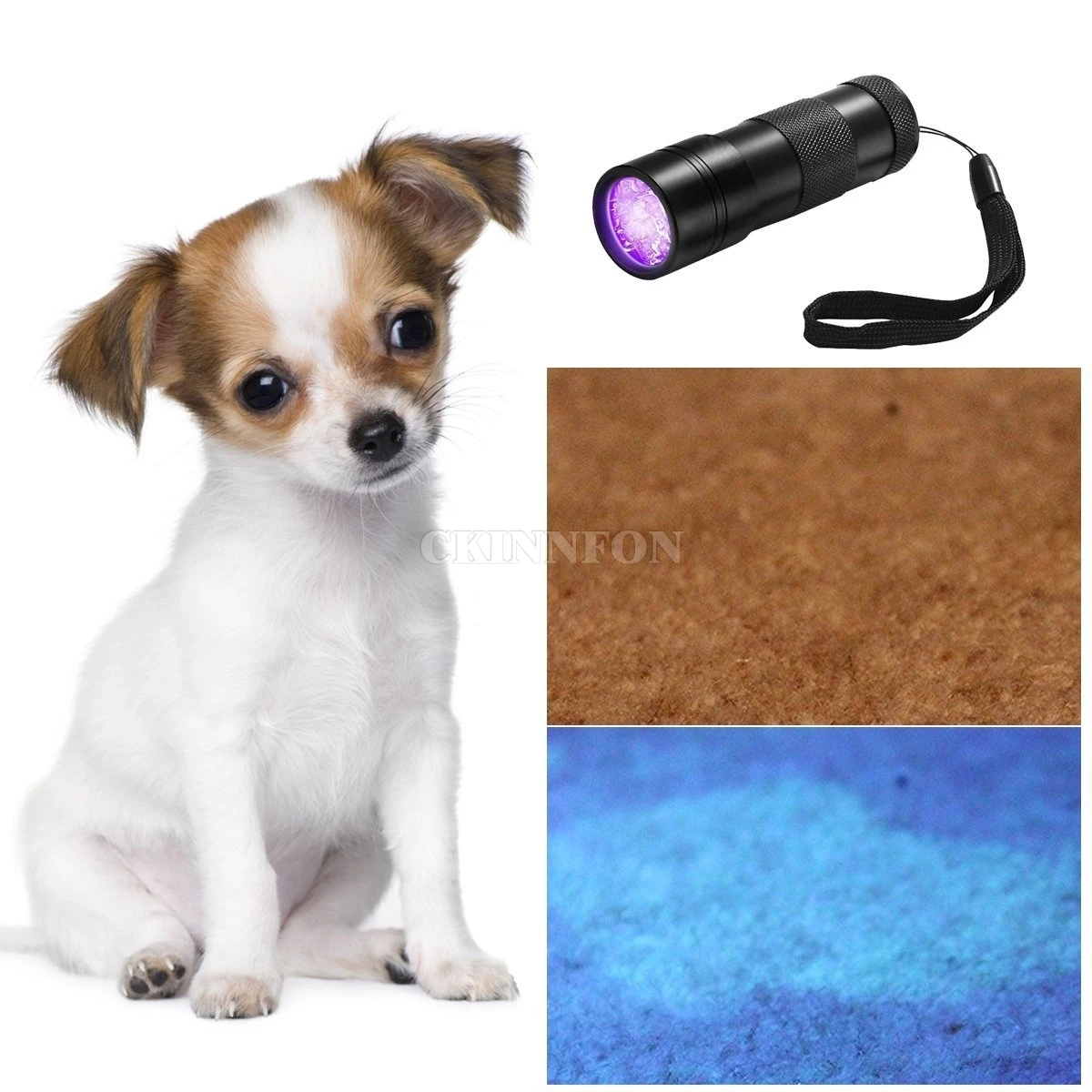 DHL 100PCS Professional Fluorescent Agent Detection UV 395nm Led Flashlight Torch Lamp Purple Violet Light For 3AAA
DHL 100PCS Professional Fluorescent Agent Detection UV 395nm Led Flashlight Torch Lamp Purple Violet Light For 3AAA