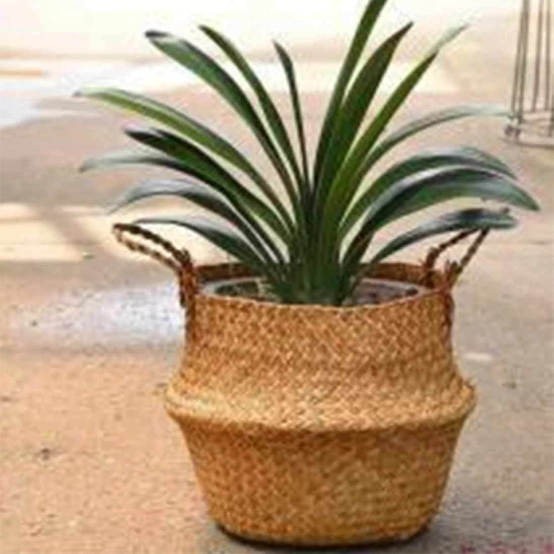 1pc Rattan Folding Basket Seaweed Wicker Baskets Dirty Laundry Storage Basket Home Storage 3 Size Available
1pc Rattan Folding Basket Seaweed Wicker Baskets Dirty Laundry Storage Basket Home Storage 3 Size Available
