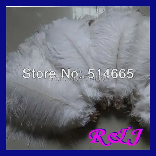 Free shipping 200PCS/LOT 12-14 inches 30-35cm white Ostrich drab feather ostrich plumes
Free shipping 200PCS/LOT 12-14 inches 30-35cm white Ostrich drab feather ostrich plumes