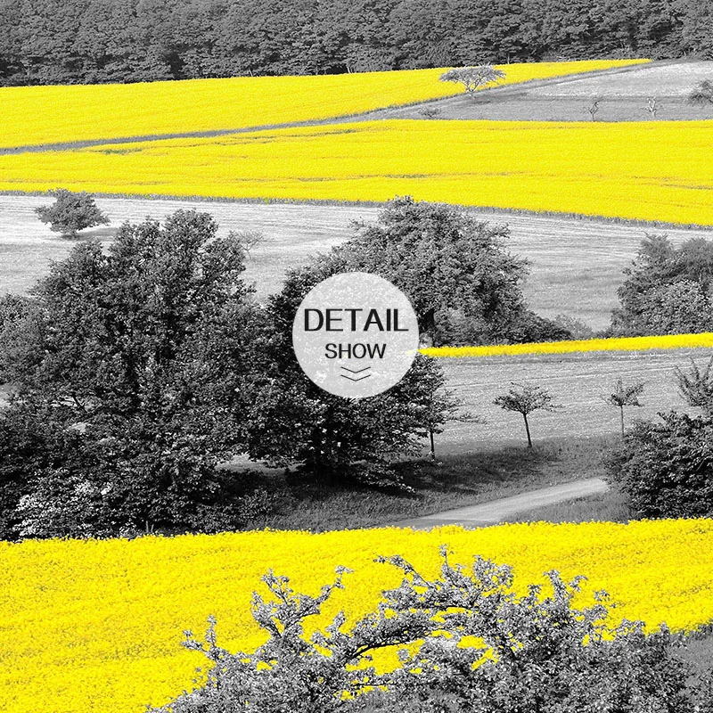 ART ZONE Forest Landscape Painting Modern Yellow Art Village Photography Wall Print Living Room Bedroom Home Decor Poster
ART ZONE Forest Landscape Painting Modern Yellow Art Village Photography Wall Print Living Room Bedroom Home Decor Poster