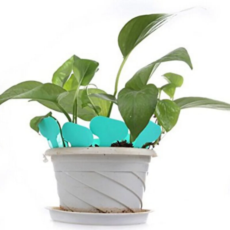 Mini T-cute Label PP Garden White Flowerpot Gardening Flower Arrangement Thicken Label 100pcs/set
Mini T-cute Label PP Garden White Flowerpot Gardening Flower Arrangement Thicken Label 100pcs/set