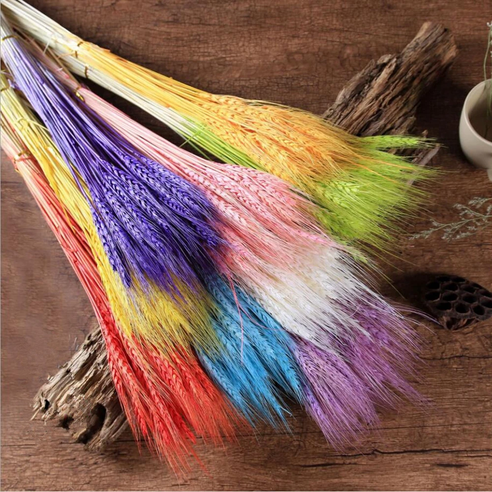 50pcs wheat ears natural dried flowers wheat bedroom living room decoration bouquet decoration shooting props DIY hotel floral
50pcs wheat ears natural dried flowers wheat bedroom living room decoration bouquet decoration shooting props DIY hotel floral
