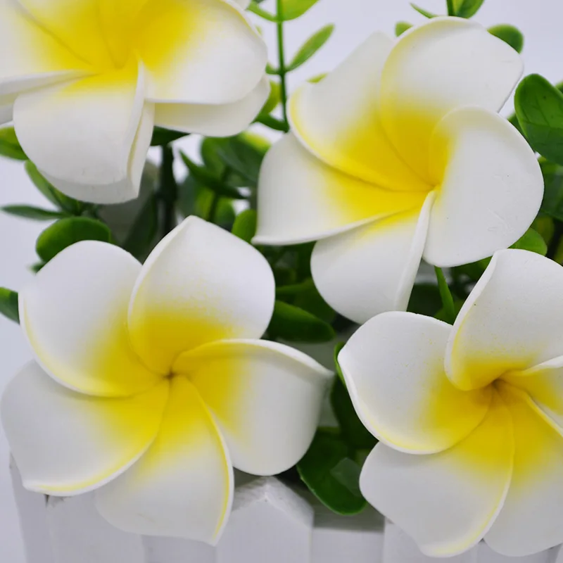 50Pcs/lot 5~7cm Plumeria PE Foam Frangipani Artificial Flower Home Garden Decorative Supplies Wedding Event Party Decoration
50Pcs/lot 5~7cm Plumeria PE Foam Frangipani Artificial Flower Home Garden Decorative Supplies Wedding Event Party Decoration
