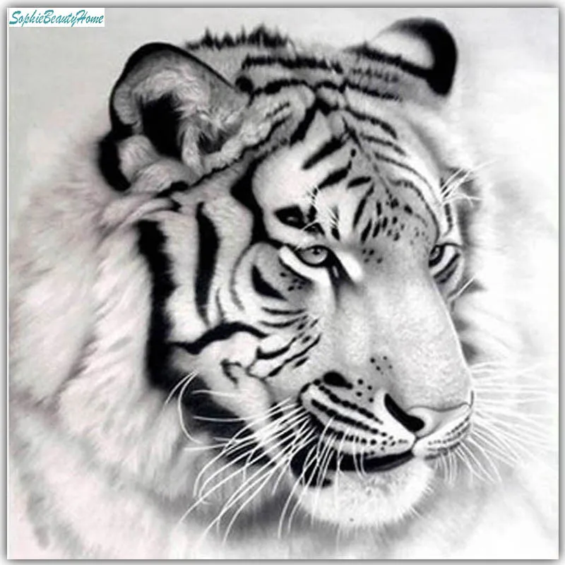 Sophie casa de beleza 5D diy diamante pintura ponto de cruz tigre resina diamante bordado parede adesivo mosaico diamante decora
Sophie casa de beleza 5D diy diamante pintura ponto de cruz tigre resina diamante bordado parede adesivo mosaico diamante decora