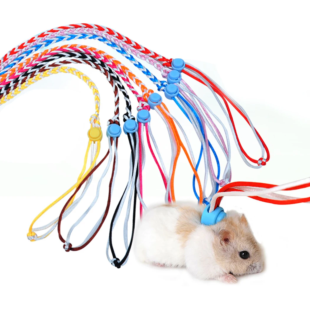 

2 Meters Adjustable Small Pet Leash Hamster Leash For Rats Ferret Mouse Squirrel Small Pet Carry-On Supplies Random Color