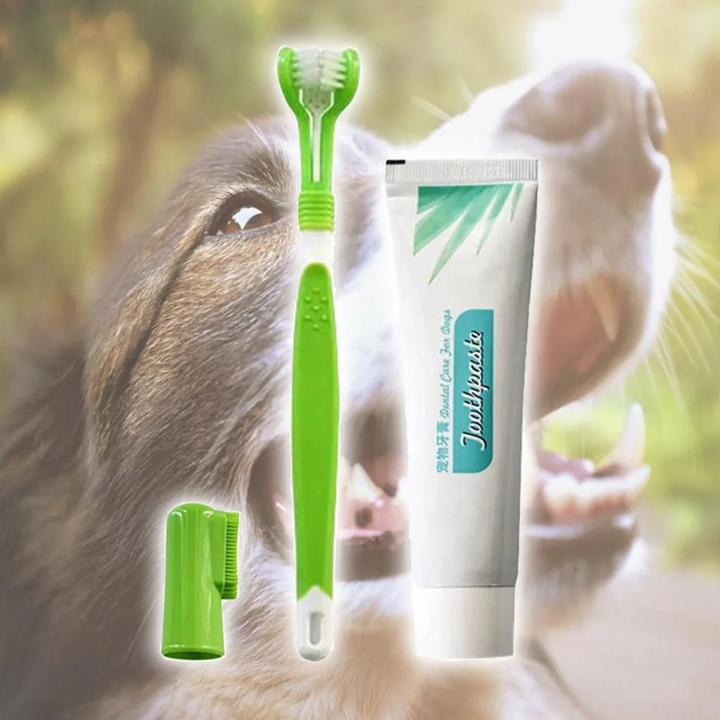 New Pet Dog Toothbrush Random Color Dog Cat Cleaning Suppliesteddy Dog Brush Addition Bad Breath Tartar Teeth Care
New Pet Dog Toothbrush Random Color Dog Cat Cleaning Suppliesteddy Dog Brush Addition Bad Breath Tartar Teeth Care
