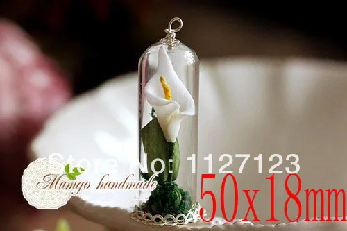 50sets 50x18MM Glass globe pendant with Top Hole(Assorted pendant base colors),display tubes Shadow Box Pendant,
50sets 50x18MM Glass globe pendant with Top Hole(Assorted pendant base colors),display tubes Shadow Box Pendant,