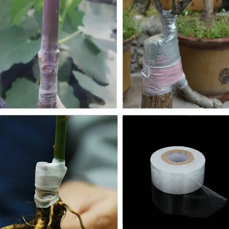 3pcs Waterproof self-adhesive Fruit Tree Grafting Tape Grafting Tools 3CM*100M Nursery Grafting Stretchable Tape
3pcs Waterproof self-adhesive Fruit Tree Grafting Tape Grafting Tools 3CM*100M Nursery Grafting Stretchable Tape