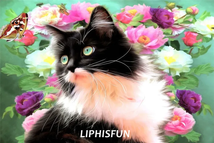 LIPHISFUN Diamond Painting Embroidery Full Drill Home Decor Square/round Cross Stitch Colorful Flower Cat Butterfly
LIPHISFUN Diamond Painting Embroidery Full Drill Home Decor Square/round Cross Stitch Colorful Flower Cat Butterfly
