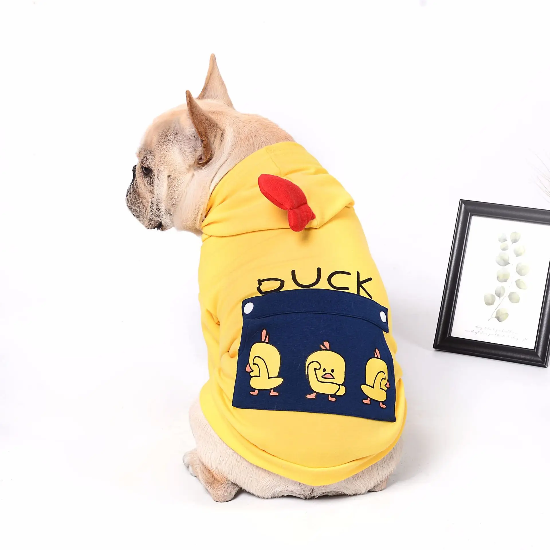 French Bulldog Cute Print Hoodies Pet Dog Spring Autumn Clothes for Small Dogs Chihuahua Pug Costume Puppy Coat Yorkie Outfit
French Bulldog Cute Print Hoodies Pet Dog Spring Autumn Clothes for Small Dogs Chihuahua Pug Costume Puppy Coat Yorkie Outfit