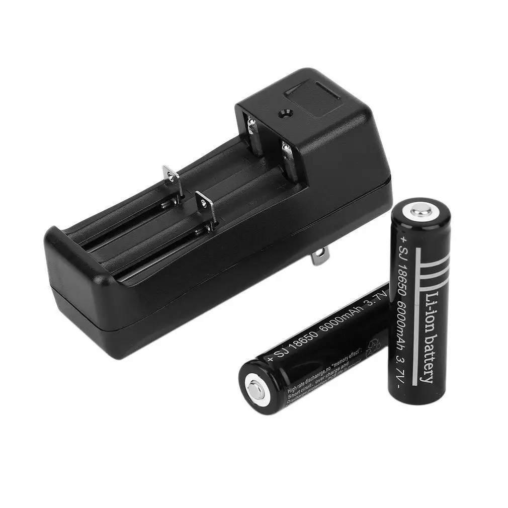 GTF 2x18650 6000mAh 3 7 V литий-ионные аккумуляторы + зарядное устройство | Электроника