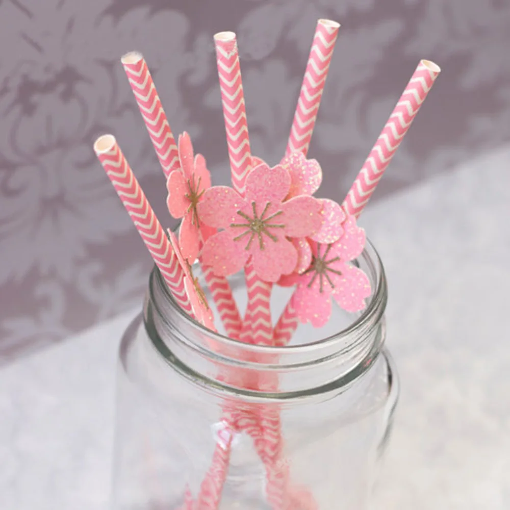 Pink Peach Strip Disposable Party Straws Birthday Wedding Paper Straws Baby Shower Party Decoration Party Supplies
Pink Peach Strip Disposable Party Straws Birthday Wedding Paper Straws Baby Shower Party Decoration Party Supplies