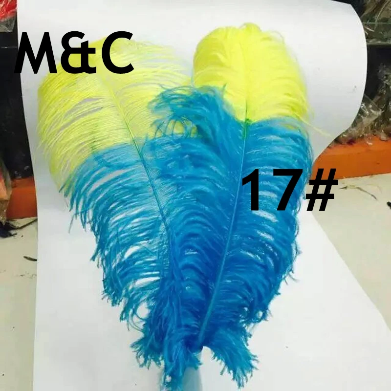 wholesale 50pcs Coloured Tipped Ostrich Feathers 65-70cm big pole fluffy ostrich plumes for wedding party decorations crafts
wholesale 50pcs Coloured Tipped Ostrich Feathers 65-70cm big pole fluffy ostrich plumes for wedding party decorations crafts