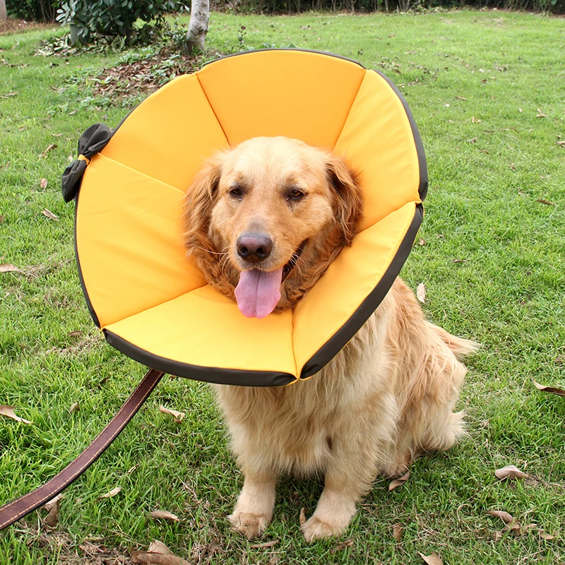 Pet Cat Collar Dog Necklace Accessories Adjustable Kitten Neck Protective Circle Waterproof Medical Collar Cat Supplies
Pet Cat Collar Dog Necklace Accessories Adjustable Kitten Neck Protective Circle Waterproof Medical Collar Cat Supplies