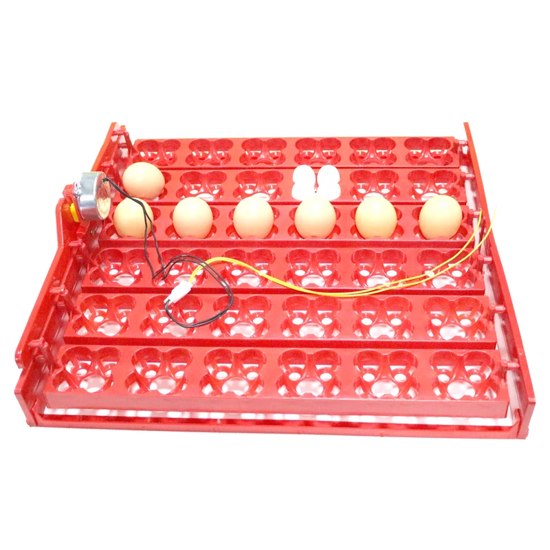 36 Eggs /144 Birds Eggs Incubator Tray Chickens 1/240 rpm Or 2.5 r/min Ducks And Pigeons And Other Birds Parrot Quail Gooes
36 Eggs /144 Birds Eggs Incubator Tray Chickens 1/240 rpm Or 2.5 r/min Ducks And Pigeons And Other Birds Parrot Quail Gooes