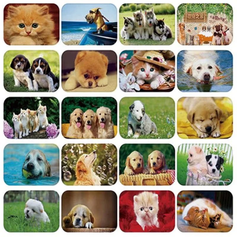 Animal Printed Floor Mat Home Doormats For Entrance Door Flannel Outdoor Rugs Anti-slip Mats For Bathroom Kitchen Rugs
Animal Printed Floor Mat Home Doormats For Entrance Door Flannel Outdoor Rugs Anti-slip Mats For Bathroom Kitchen Rugs