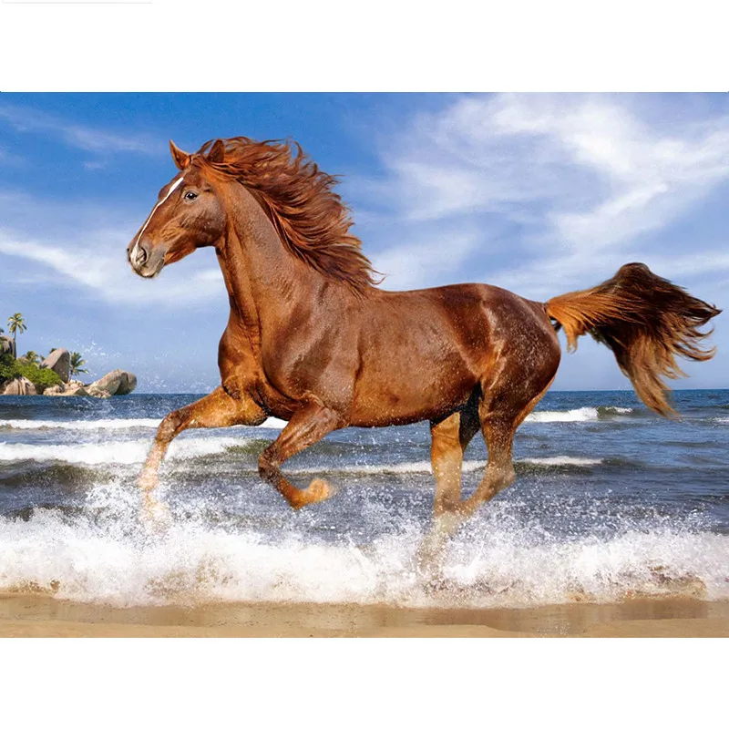 5D DIY Diamond painting beach horse Full square/Round Diamond embroidery Cross Stitch Rhinestone Mosaic decor NX
5D DIY Diamond painting beach horse Full square/Round Diamond embroidery Cross Stitch Rhinestone Mosaic decor NX