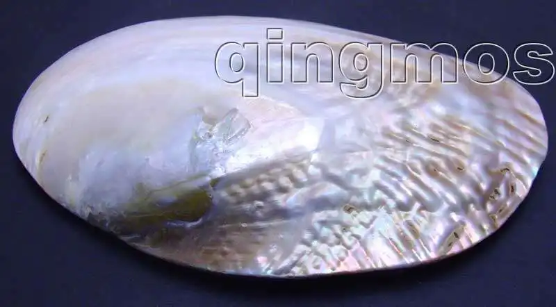 SALE 11*15CM Pink Natural CLAM Oyster hand burnish pearl Shell Smooth-pen225 Wholesale/retail Free shipping
SALE 11*15CM Pink Natural CLAM Oyster hand burnish pearl Shell Smooth-pen225 Wholesale/retail Free shipping