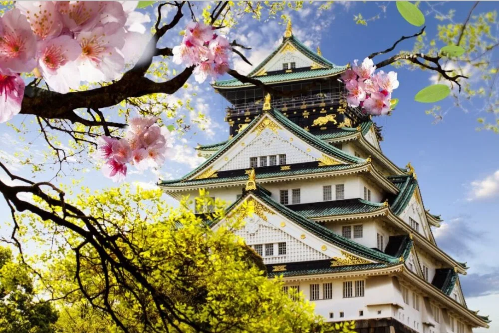 Temple The wooden puzzle 1000 pieces ersion jigsaw puzzle white card adult children's educational toys
Temple The wooden puzzle 1000 pieces ersion jigsaw puzzle white card adult children's educational toys