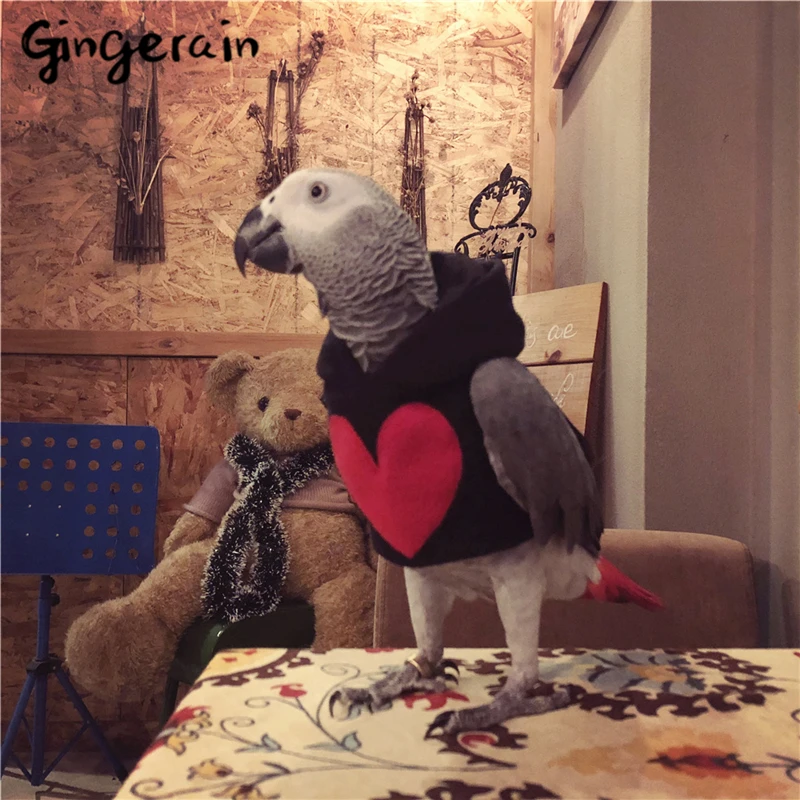 Gingerain Bird clothes Parrot clothes 7 July original hand-made custom bird clothes Hooded Sweater 7 July
Gingerain Bird clothes Parrot clothes 7 July original hand-made custom bird clothes Hooded Sweater 7 July